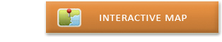 interactive